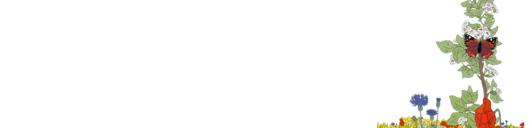 vlinder