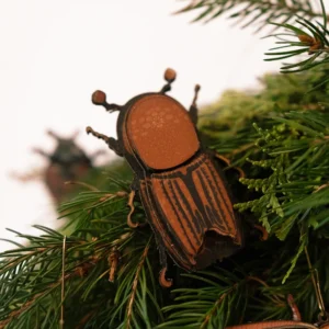 letterzetter kever in de boom.