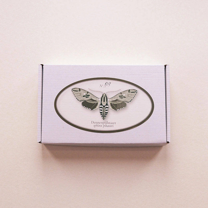 Dennenpijlstaart - Afbeelding 8