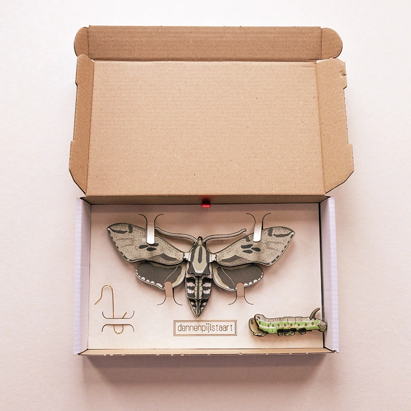 Dennenpijlstaart - Afbeelding 7