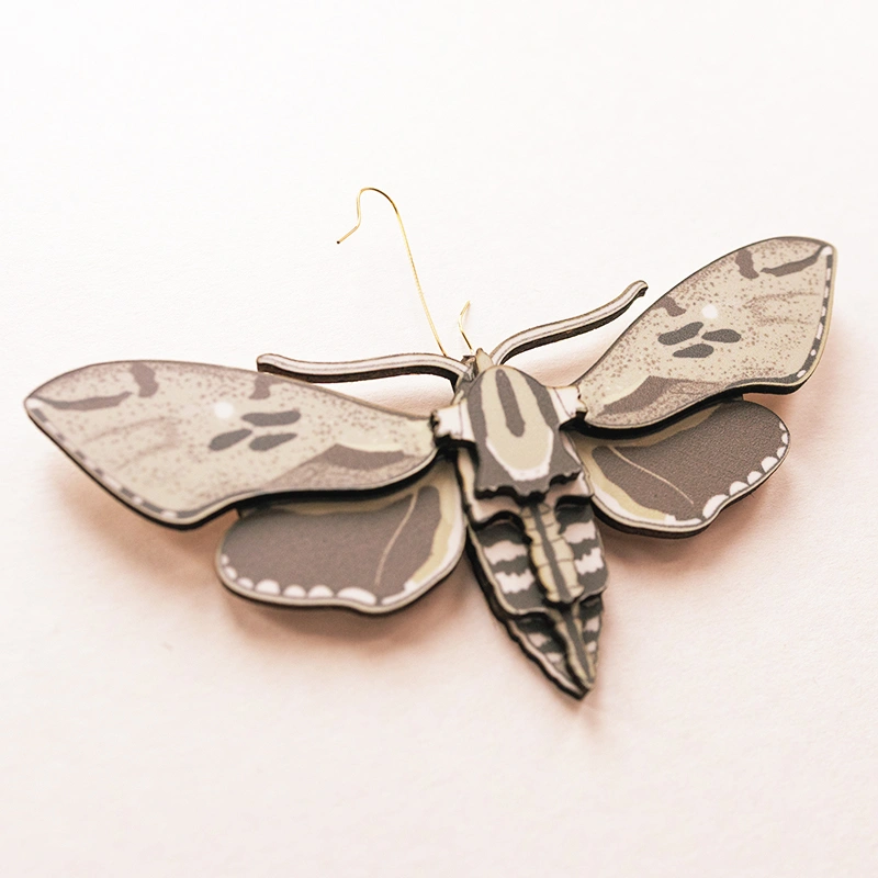 Dennenpijlstaart - Afbeelding 3