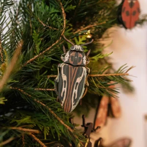 Grote Dennenprachtkever