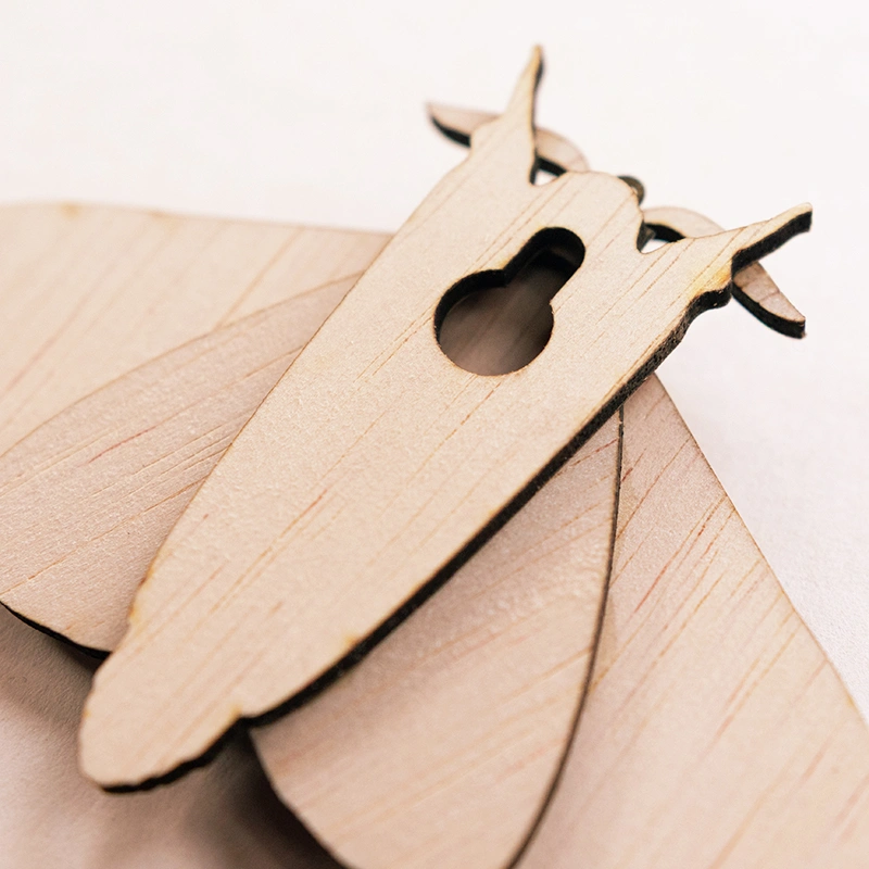 Dennenpijlstaart - Afbeelding 4