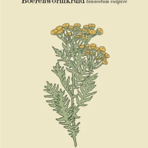 Onkruidkaart Boerenwormkruid