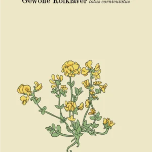 Onkruidkaart Gewone Rolklaver